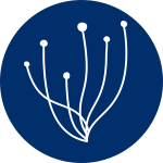 Your Guide to the Best Event Spaces & Vendors in Charlotte NC and Beyond.